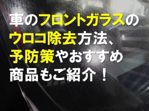 車のフロントガラスのウロコ除去方法、予防策やおすすめ商品もご紹介！